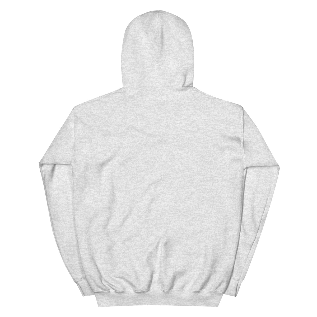 I Am Your Neighbor hoodie in Ash, back view