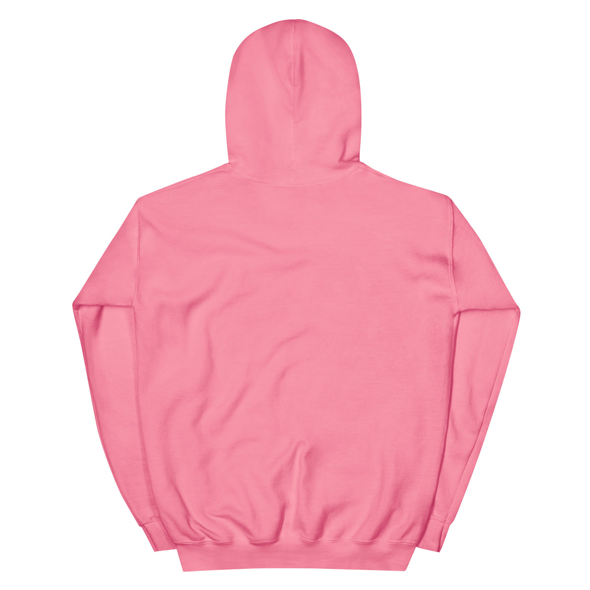 I Am Your Neighbor hoodie in Azalea, back view
