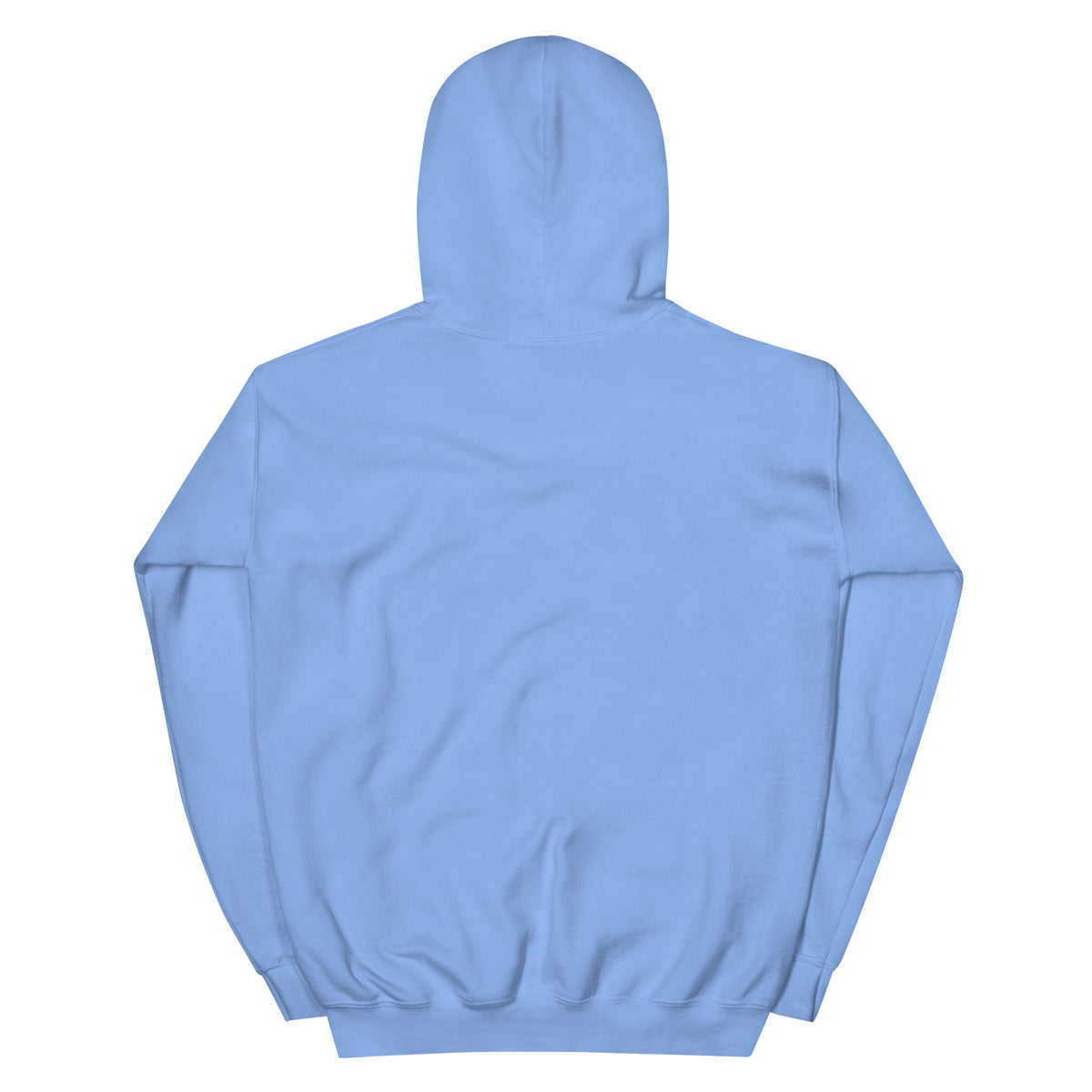 I Am Your Neighbor hoodie in Carolina Blue, back view