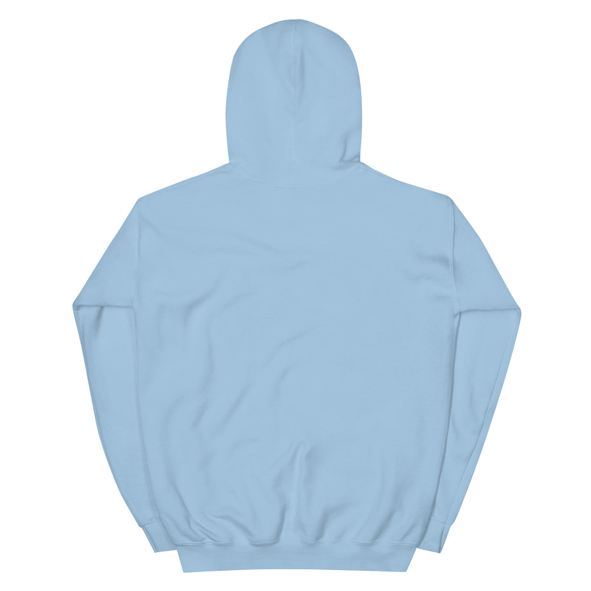 I Am Your Neighbor hoodie in Light Blue, back view