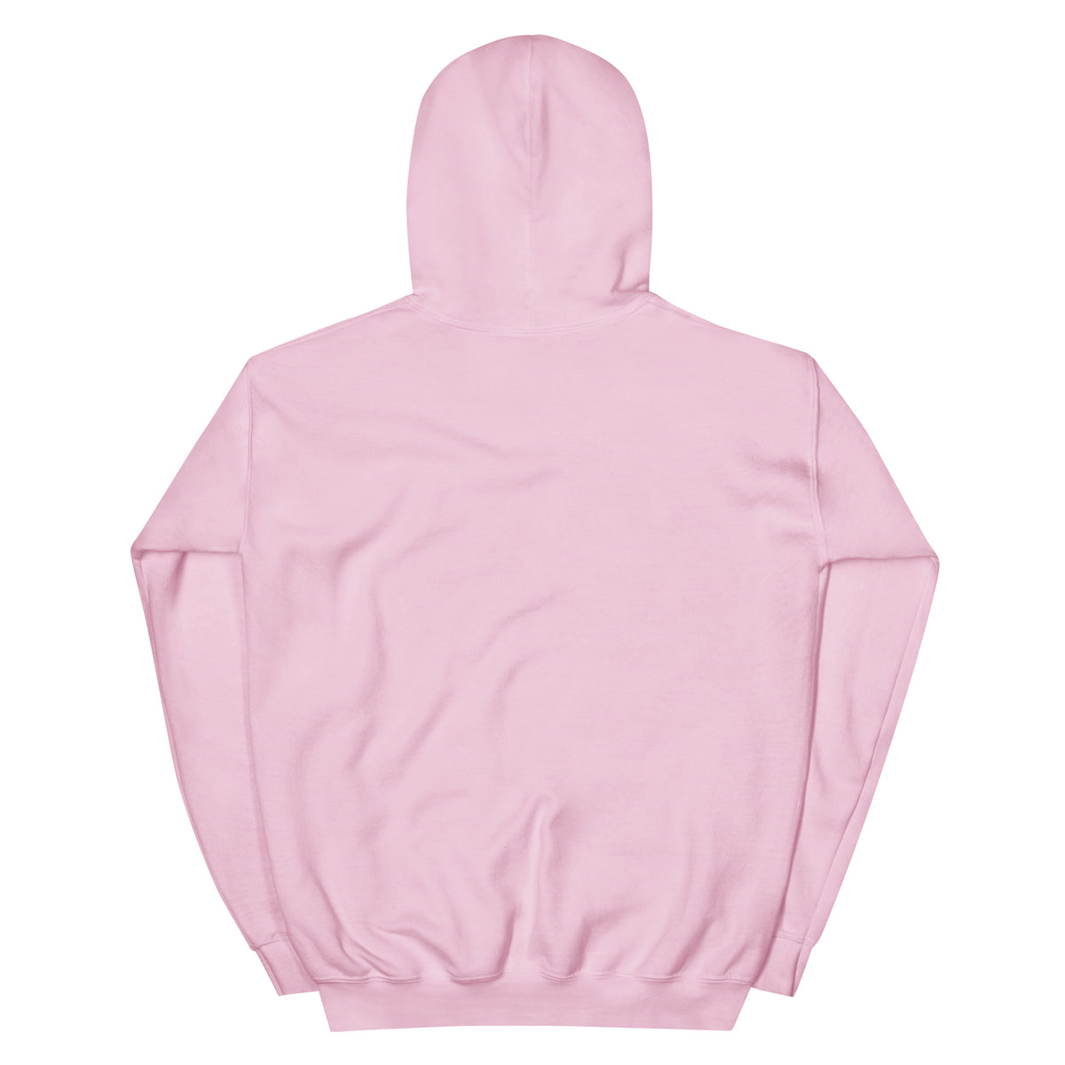 Bridging the Gap hoodie in Light Pink, back view