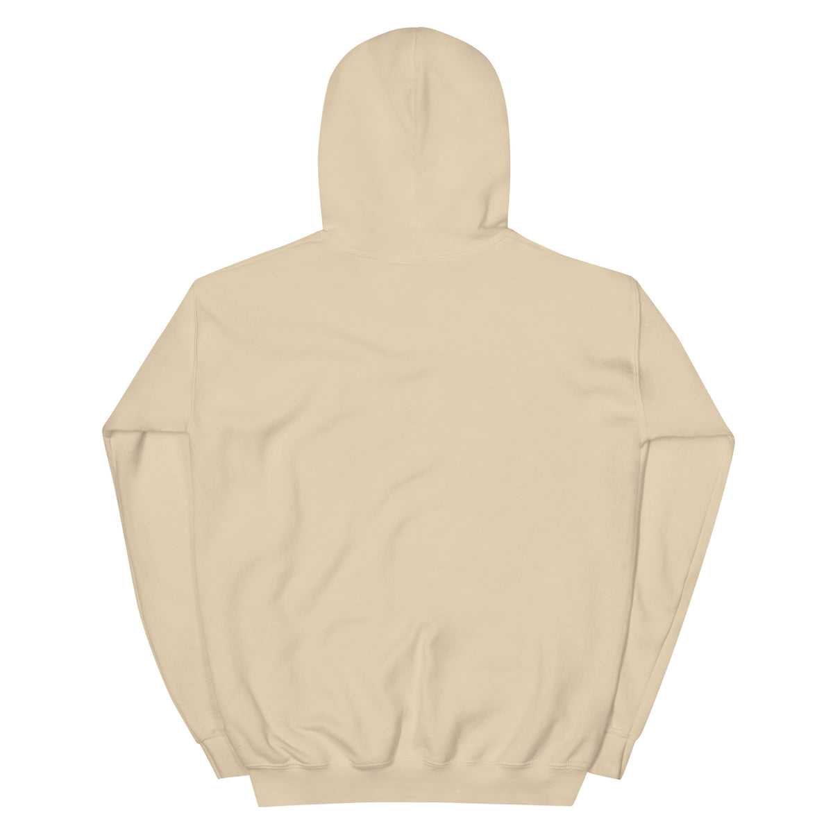 Bridging the Gap hoodie in Sand, back view