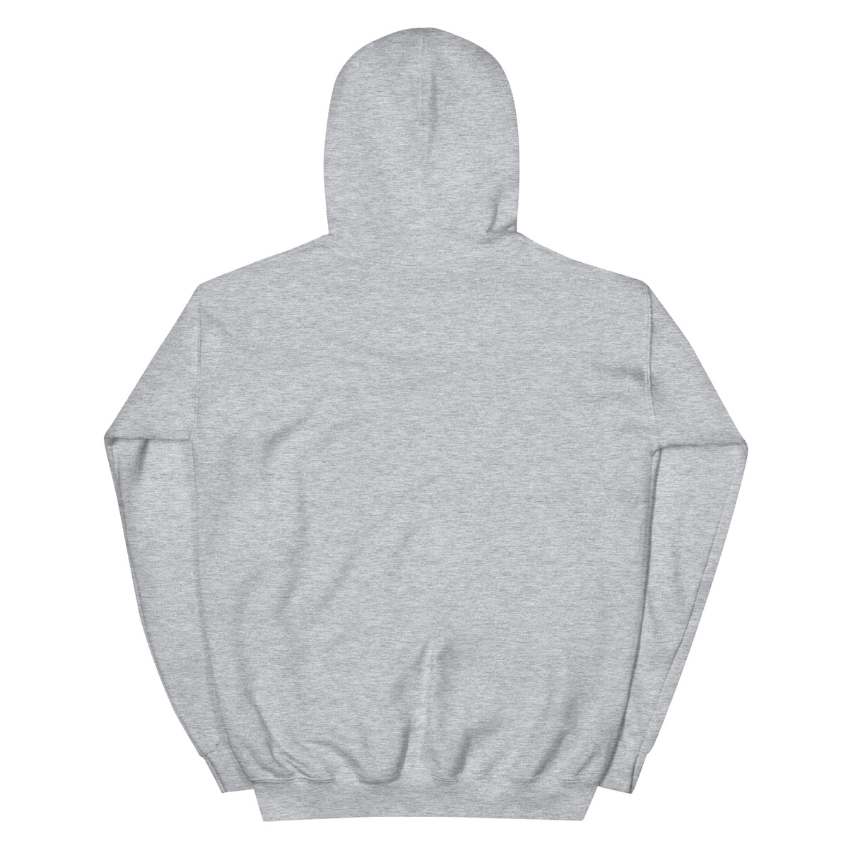 Bridging the Gap hoodie in Sport Grey, back view